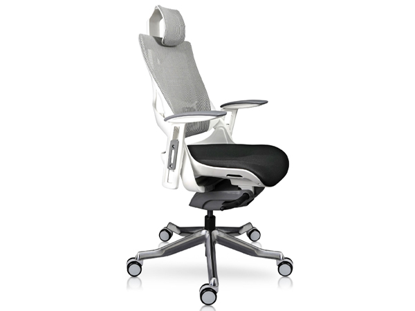 MADAGASCAR - Image 3